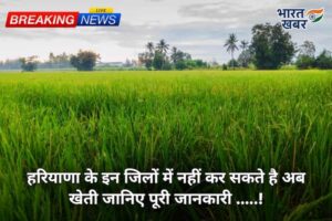 हरियाणा न्यूज
