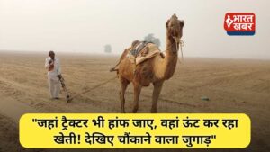 ऊंट से खेती
