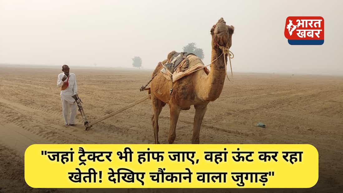 ऊंट से खेती